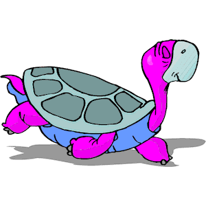 Pink Turtle Walking