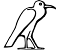 Egyptian bird
