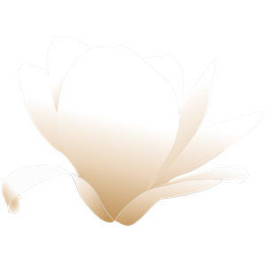 magnolia white patricia 03r