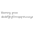 Blooming Grove fontface, lowercase