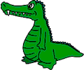 Alligator 01
