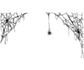 Spider Web Frame