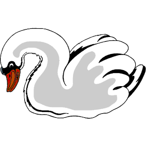 Swan 12