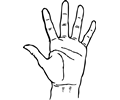 Hand - Palm Facing Out