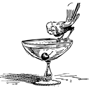 bird on a cocktail