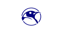 Pinguin for Logo
