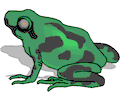 Frog 024