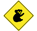 Warning koalas ahead