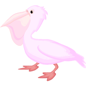 Pelican 23