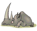 Rhino - Long Horn