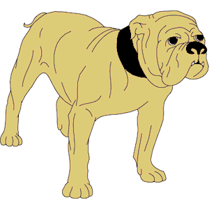 Bulldog 02