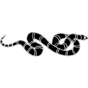 Snake 6