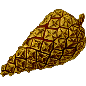Pine cone 2 (detailed)