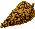 Pine cone 2 (detailed)