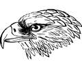 Snake eagle