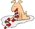 Dog Eating Socks