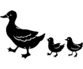 Duck Family 2