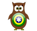 Brazil Owl Hero