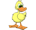 Duck 009