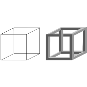 Necker Cube and Impossible Cube