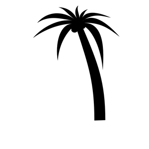 palmtree b r kessels