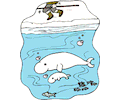 Whales  Beluga