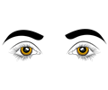 Eyes Illustration