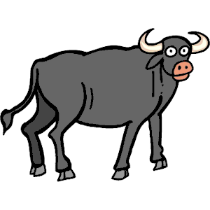 Bull 12