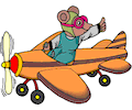 Mouse Pilot
