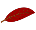 Simple leaf in dark red