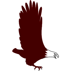 Eagle 05