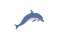 dolphin enrique meza c 02