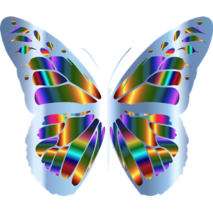 Iridescent Monarch Butterfly 23