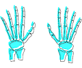 Bones - Hands