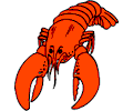 Lobster 6