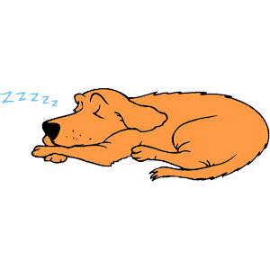 Dog Sleeping