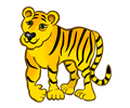 Tiger - coloured