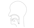 midsagittal N - voiced alveolar nasal