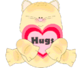 Cute cat hugs transparent