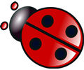 Coccinelle rouge