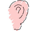 Ear 09