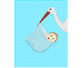 Baby Boy And Stork