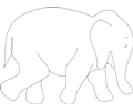 elephant outline