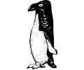 funky penguin