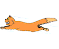 Fox Running
