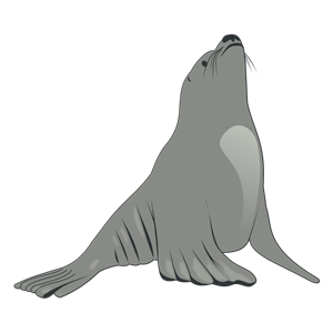Sea Lion