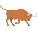 Bull 03