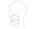 midsagittal M - voiced bilabial nasal