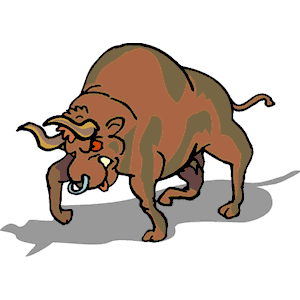 Bull - Angry 4