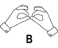 Sign Language B